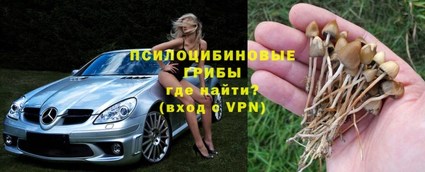 марки nbome Богданович