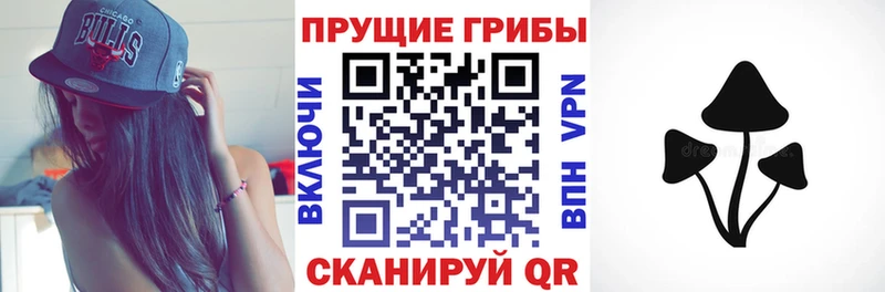 Псилоцибиновые грибы MAGIC MUSHROOMS  kraken как зайти  Махачкала 